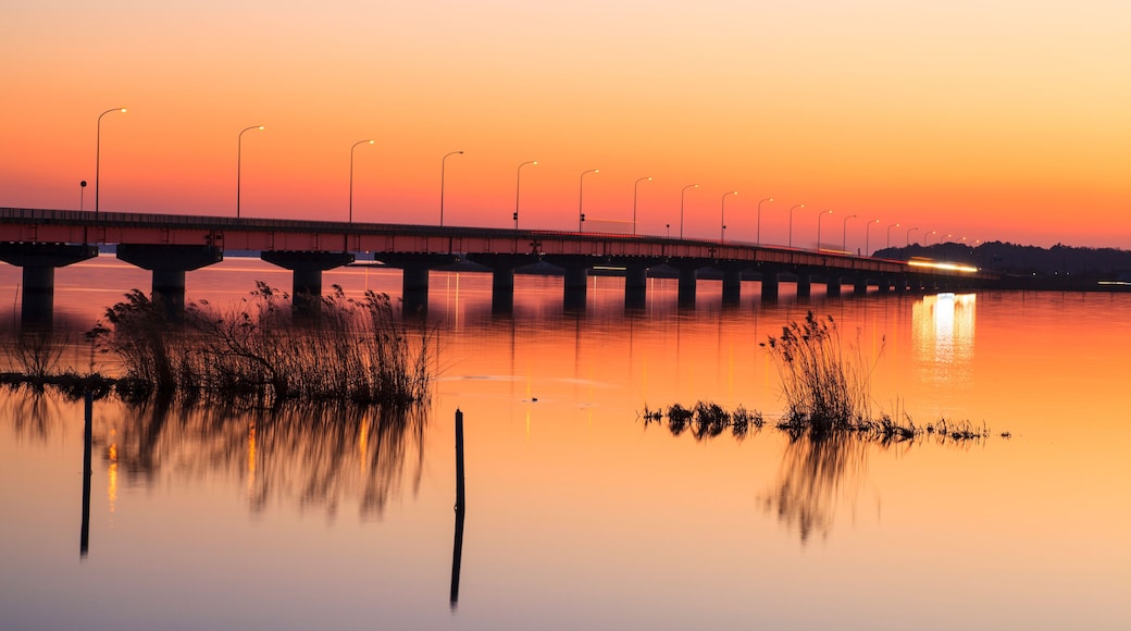 A bridge over a calm river at sunset with streetlights and vegetation in the foreground.