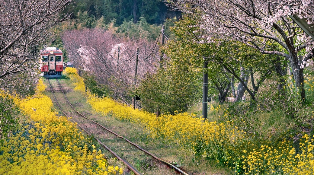 Isumi