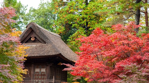 平林寺 紅葉 山門