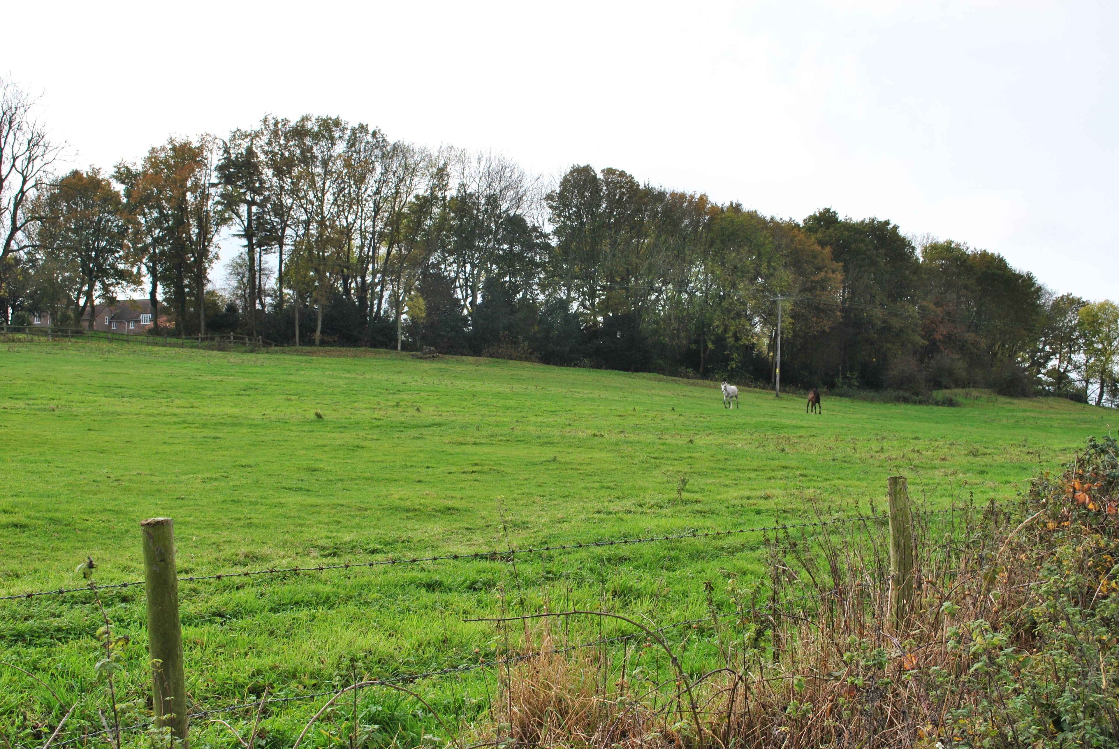 A green field with a wooden fence, trees, and a distant building.