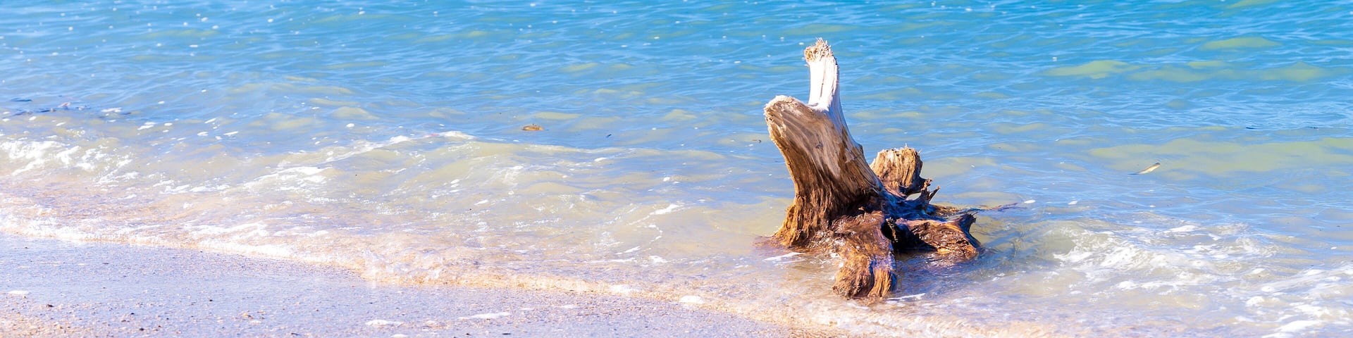 流木と砂浜 きれいな海水
Driftwood, sandy beach, and clean seawater
日本(秋)2022年撮影
Japan (Autumn) Photographed in 2022
九州・熊本県葦北郡芦北町
Ashikita Town, Ashikita District, Kumamoto
(御立岬海水浴場)
Otachi Misaki Beach