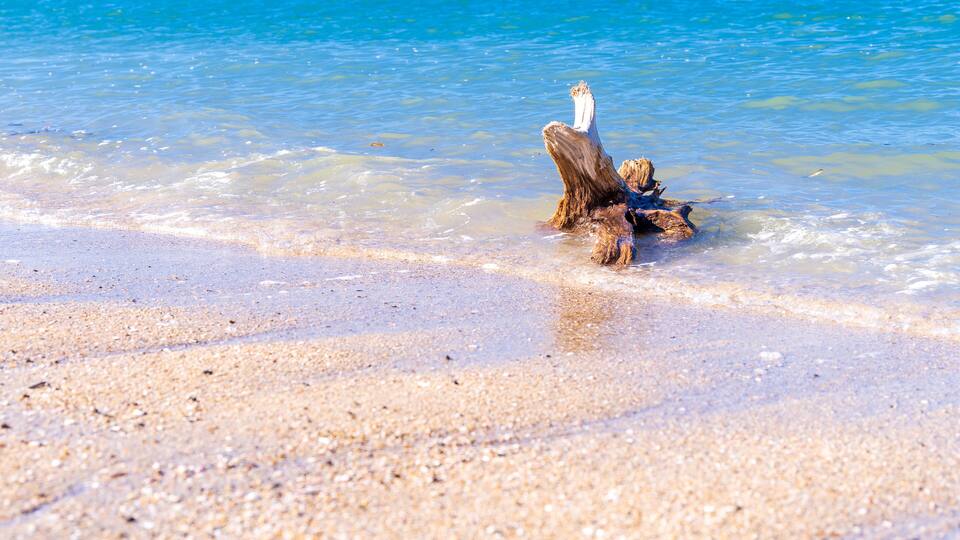 A sandy beach with clear blue water and a piece of driftwood.