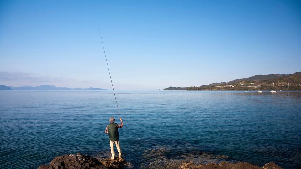 A person fishing on rocky shore by a calm sea with distant hills.