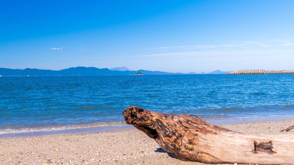 A beach with a driftwood log in the foreground, calm blue water, and distant mountains.