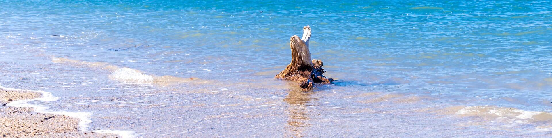 流木と砂浜 きれいな海水
Driftwood, sandy beach, and clean seawater
日本(秋)2022年撮影
Japan (Autumn) Photographed in 2022
九州・熊本県葦北郡芦北町
Ashikita Town, Ashikita District, Kumamoto
(御立岬海水浴場)
Otachi Misaki Beach