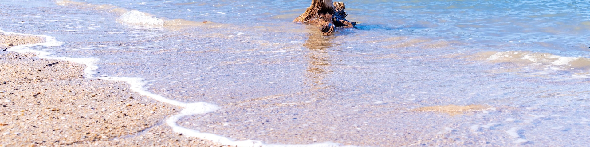 流木と砂浜 きれいな海水
Driftwood, sandy beach, and clean seawater
日本(秋)2022年撮影
Japan (Autumn) Photographed in 2022
九州・熊本県葦北郡芦北町
Ashikita Town, Ashikita District, Kumamoto
(御立岬海水浴場)
Otachi Misaki Beach