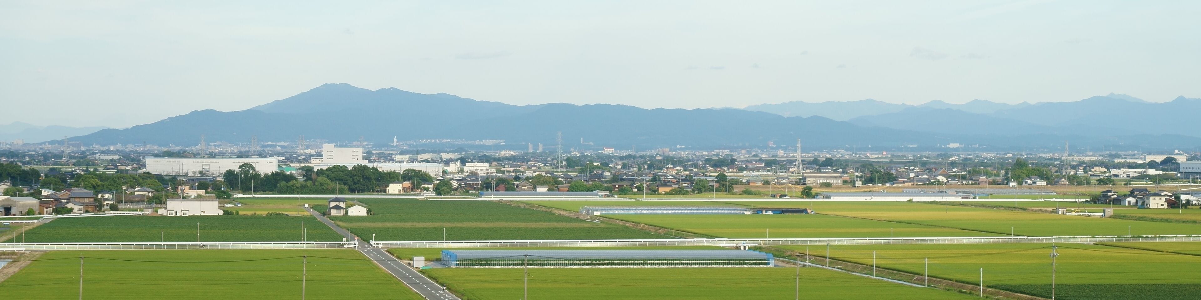 A cityscape with a mountain range in the background.