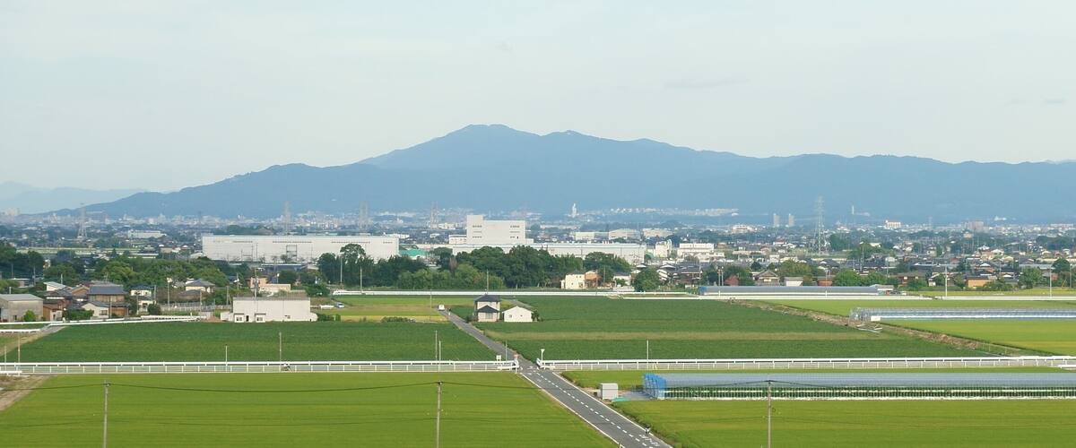 A cityscape with a mountain range in the background.
