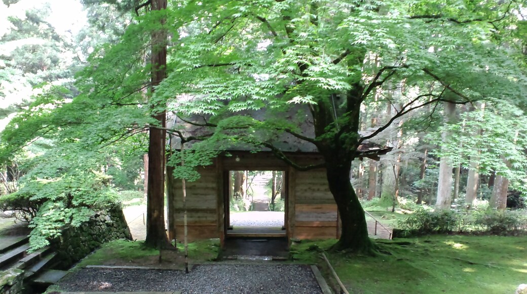 金勝寺山門青もみじ