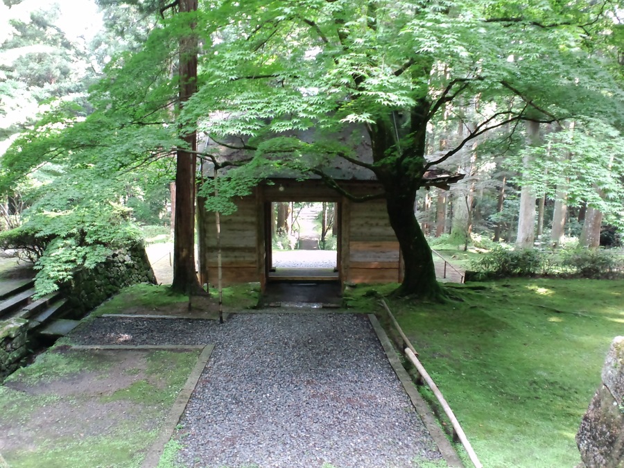 金勝寺山門青もみじ
