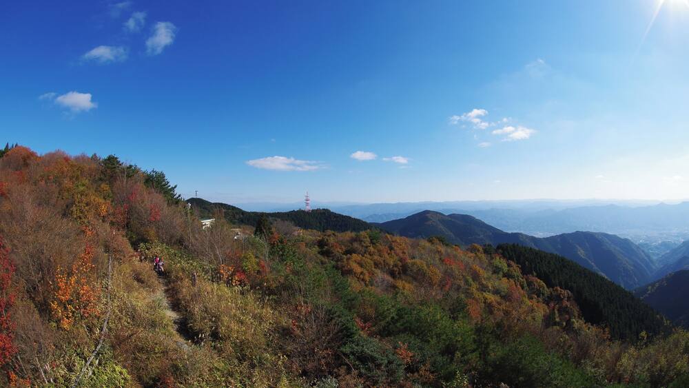 ćæłèć㱱㱿ć°ă«ăŠ 2013.11.23