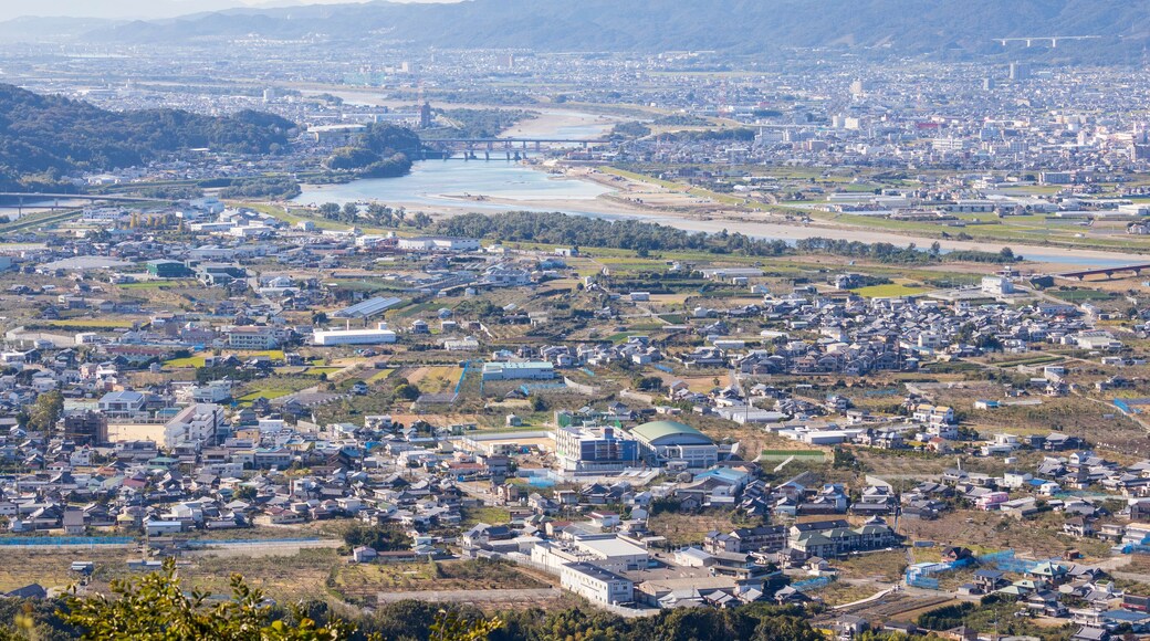 Sprawling rural town in Japanese countryside