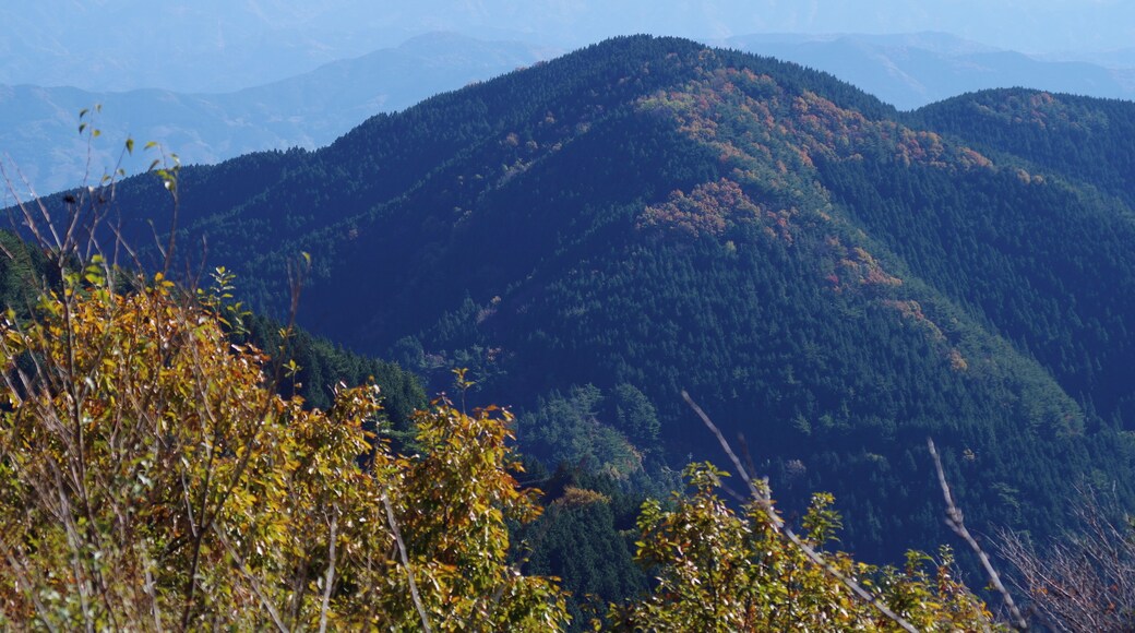 和泉葛城山にて 2013.11.23