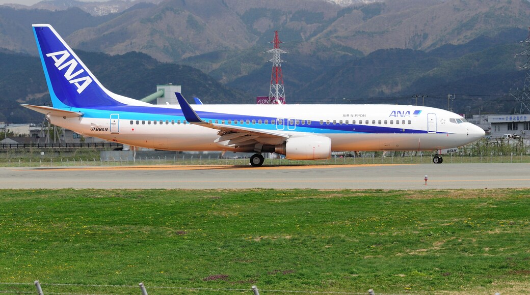 All Nippon Airways Boeing 737-881 Winglets (JA66AN/33909/3598)
