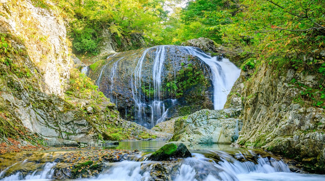 ฮิงะชิเนะ