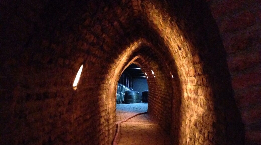 In the tunnels leading to the wine kegs inside the Undurraga winery in Chile