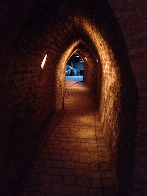 In the tunnels leading to the wine kegs inside the Undurraga winery in Chile