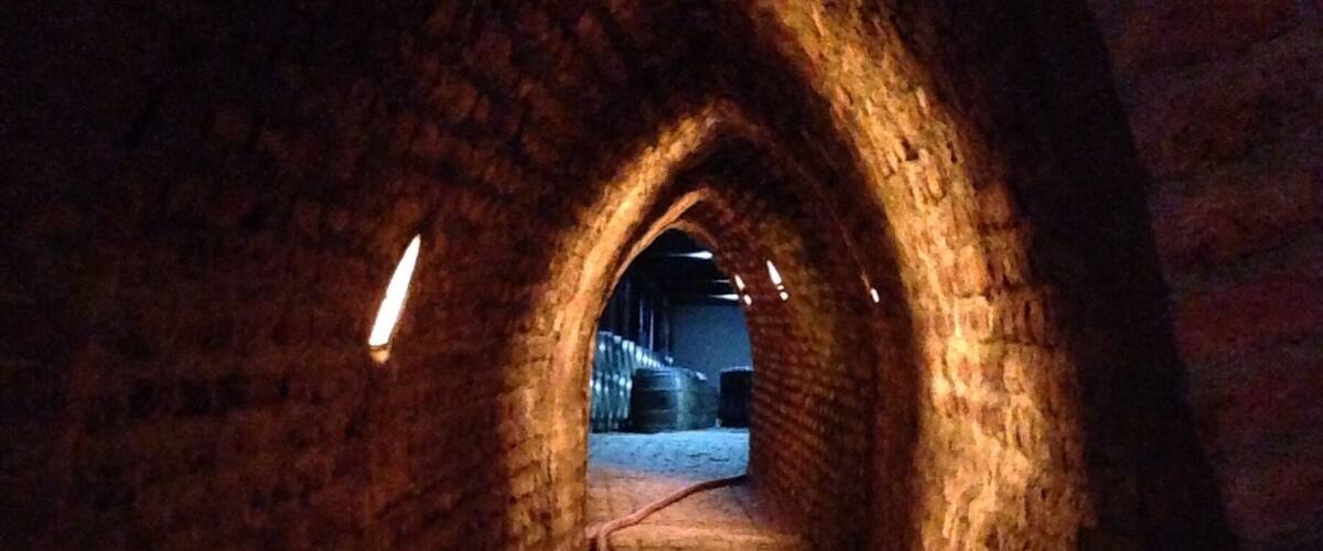 A dimly lit brick tunnel with a narrow pathway and a visible hose on the ground.