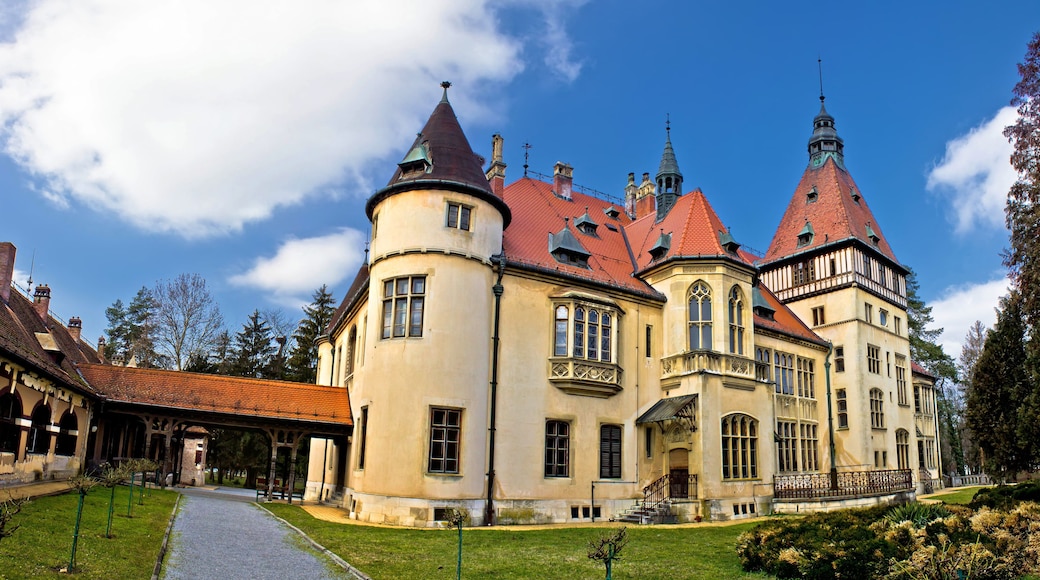 Donji Miholjac castle panorama, Croatia