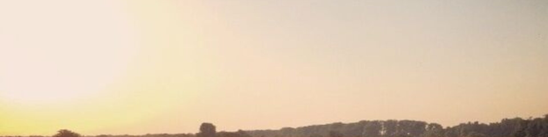 Sunset & sunflowers 🌻
#goldenhour