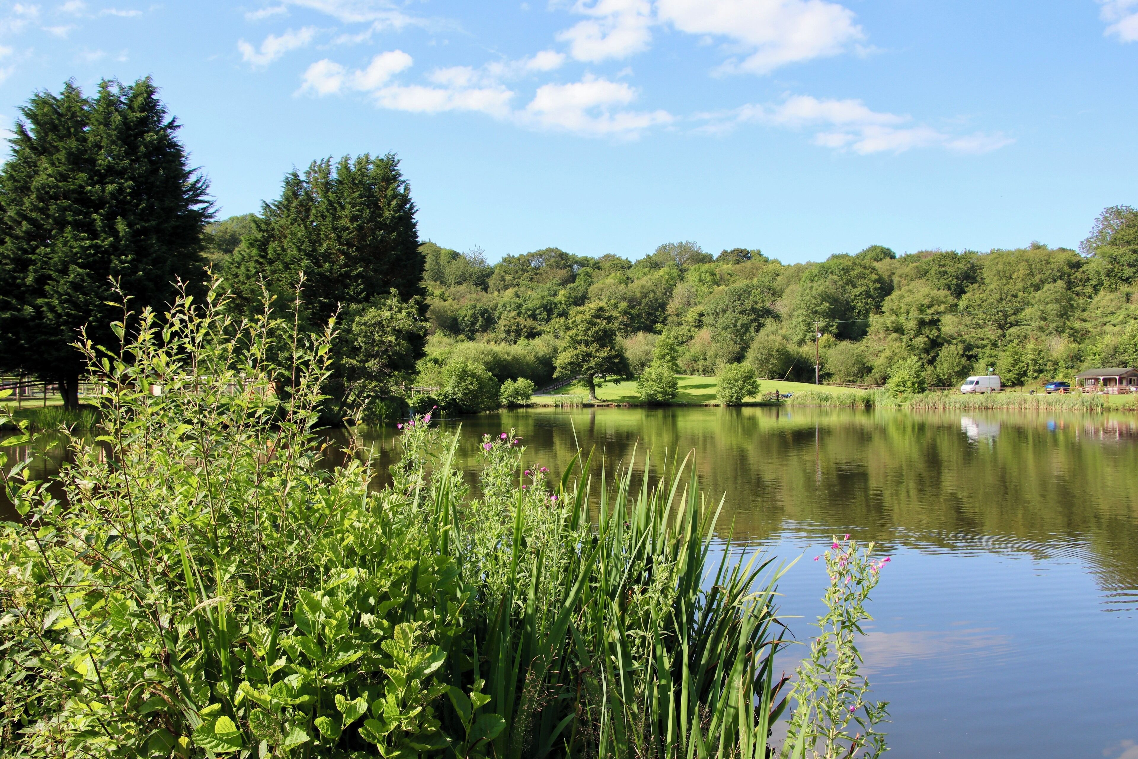 A serene lake surrounded by lush greenery and trees.