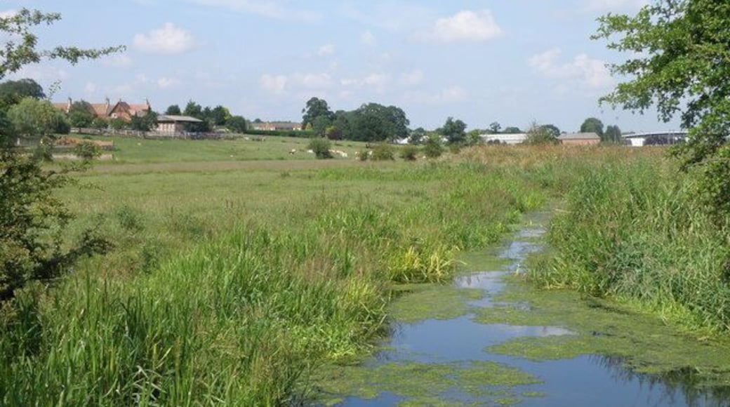 Flood plain near Irthlingborough A branch of the river Nene winds its way across the flood plain.