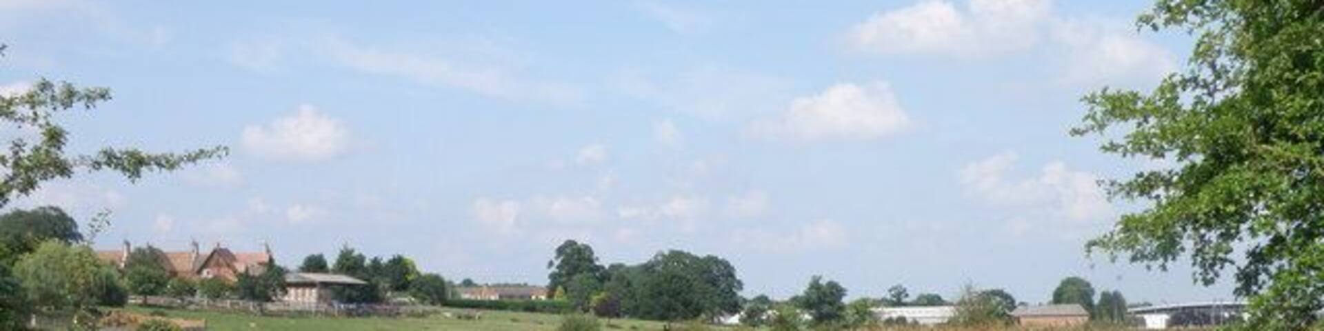 Flood plain near Irthlingborough A branch of the river Nene winds its way across the flood plain.