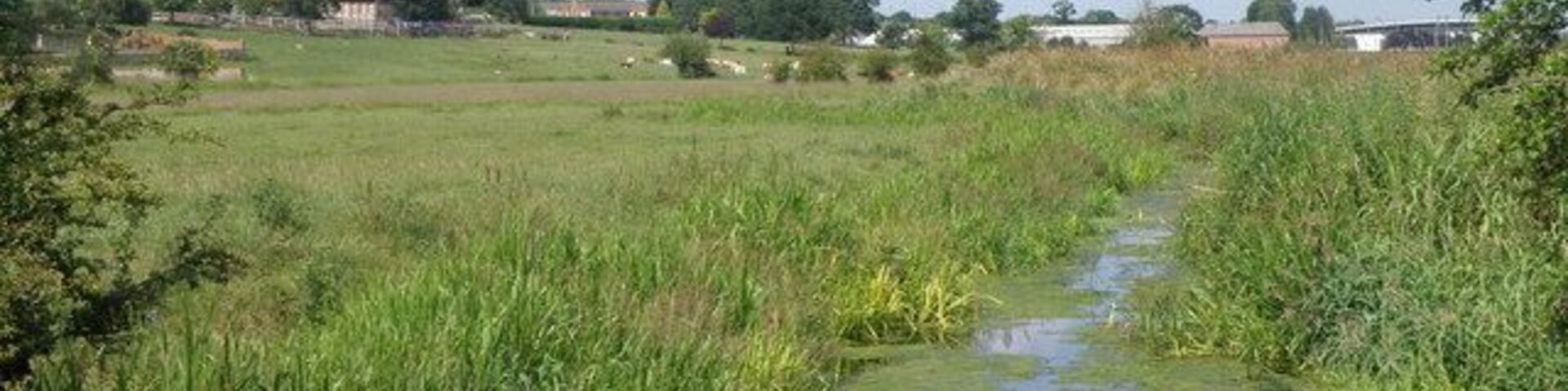 Flood plain near Irthlingborough A branch of the river Nene winds its way across the flood plain.