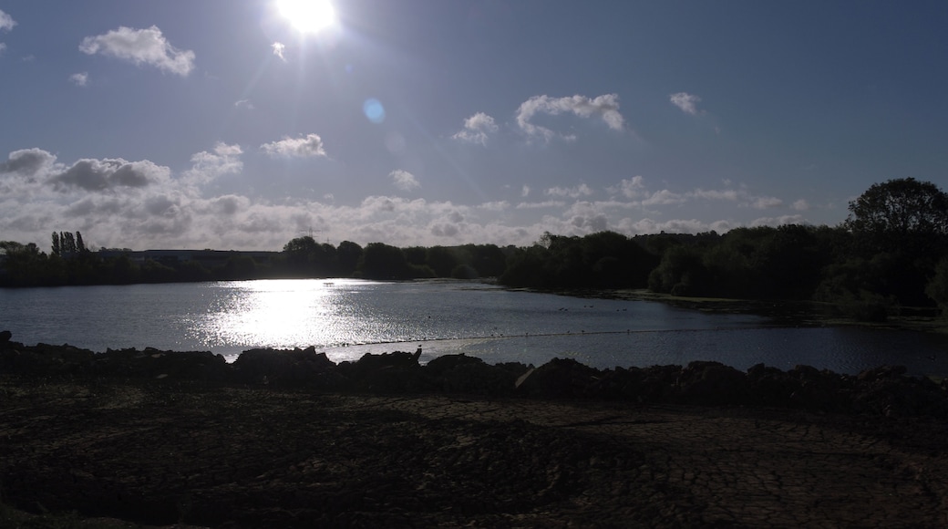 Sunlight glints off the lake at Attenborough Nature Reserve, seen from a passing train.