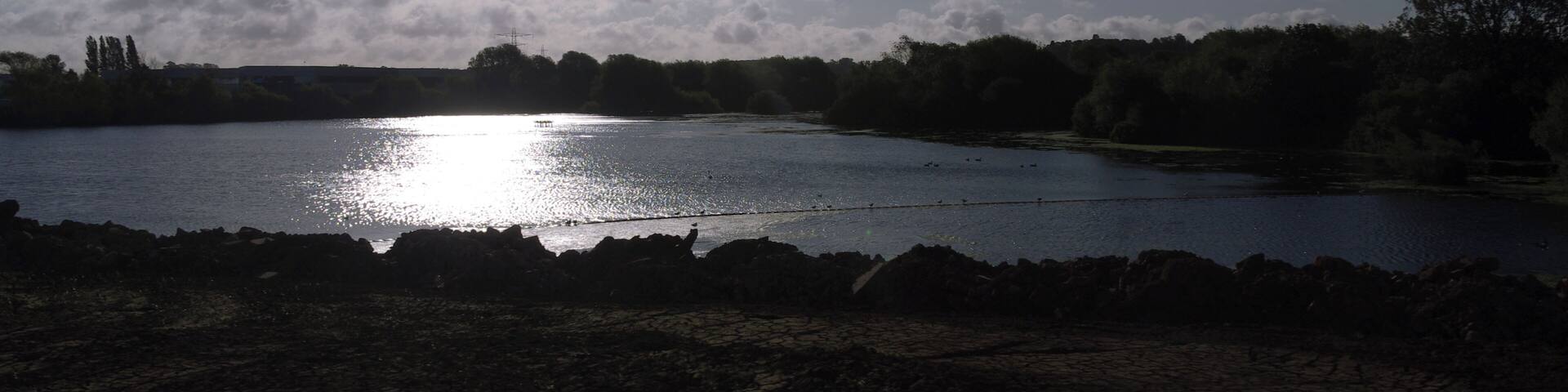 Sunlight glints off the lake at Attenborough Nature Reserve, seen from a passing train.