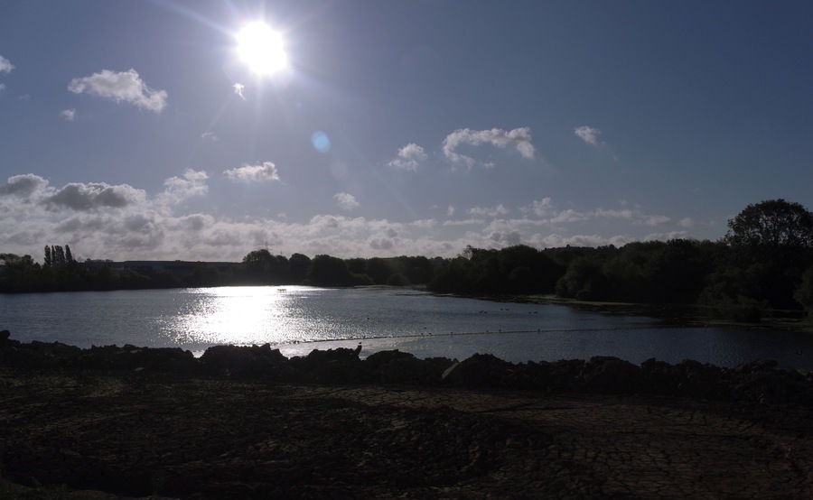 Sunlight glints off the lake at Attenborough Nature Reserve, seen from a passing train.