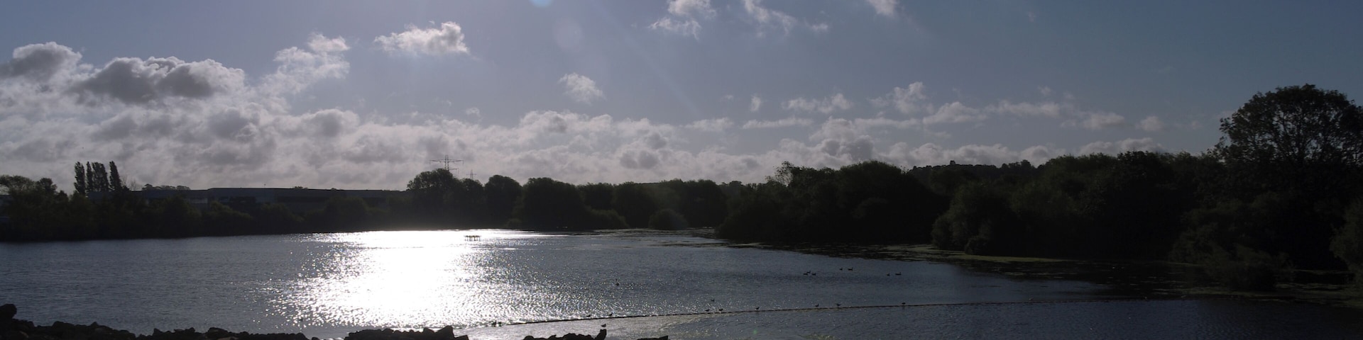 Sunlight glints off the lake at Attenborough Nature Reserve, seen from a passing train.