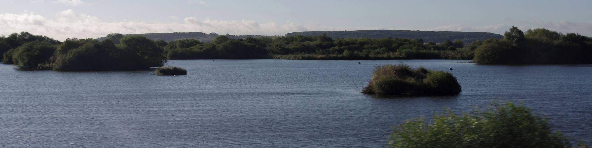 Early morning sunlight on the waters of the Attenborough Nature Reserve, seen from a passing train.