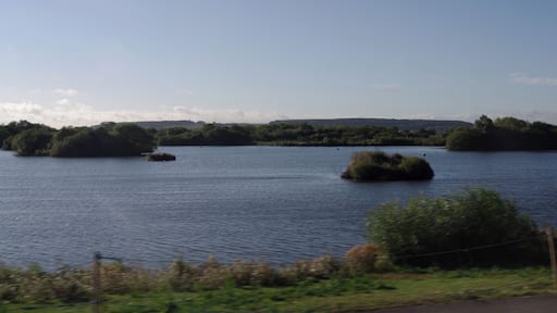 Early morning sunlight on the waters of the Attenborough Nature Reserve, seen from a passing train.