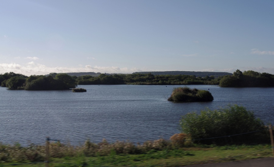 Early morning sunlight on the waters of the Attenborough Nature Reserve, seen from a passing train.