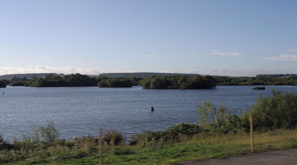 Early morning sunlight on the waters of the Attenborough Nature Reserve, seen from a passing train.