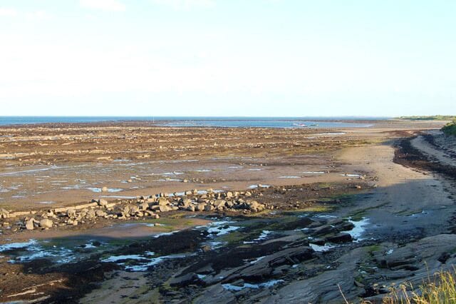 Looking south from the coast path north of Boulmer