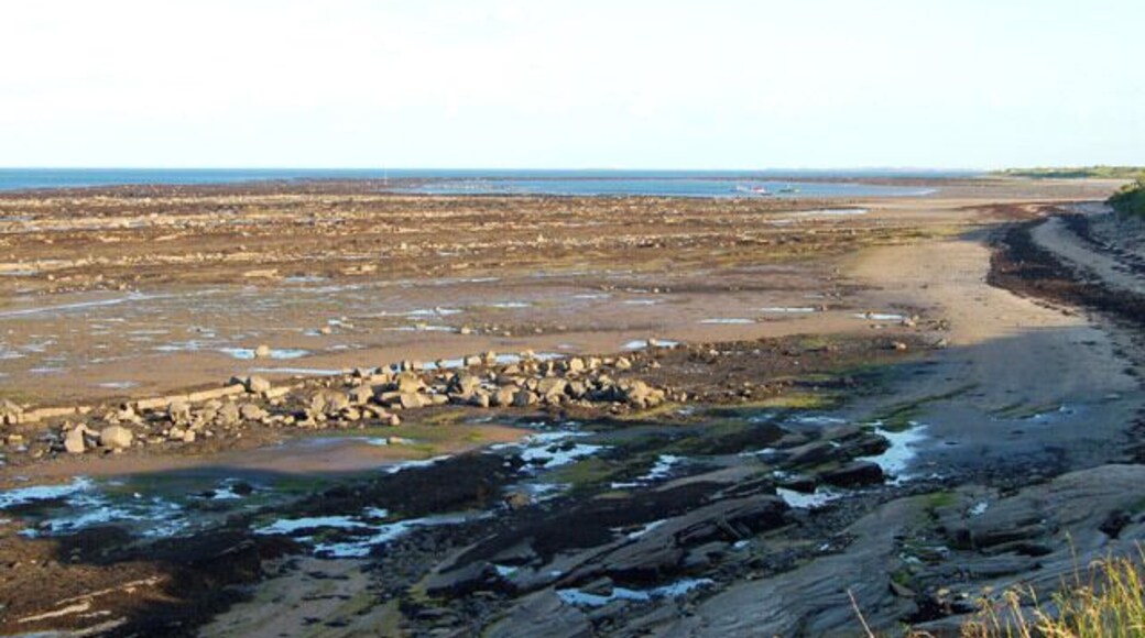 Looking south from the coast path north of Boulmer