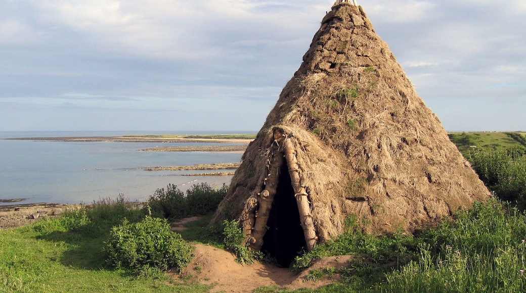 Reconstructed Mesolithic round-house Replica of a 10,000 year old round-house which was excavated from a nearby cliff-top site which had been discovered by the identification of flint artifacts in the eroding cliffs by amateur archaeologists.