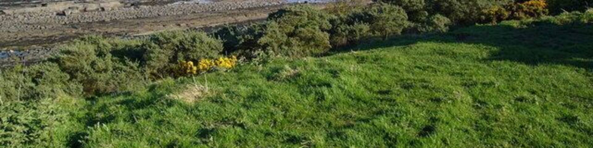 Howdiemont Sands Seahouses, View SSE from site of the ancient Settlement