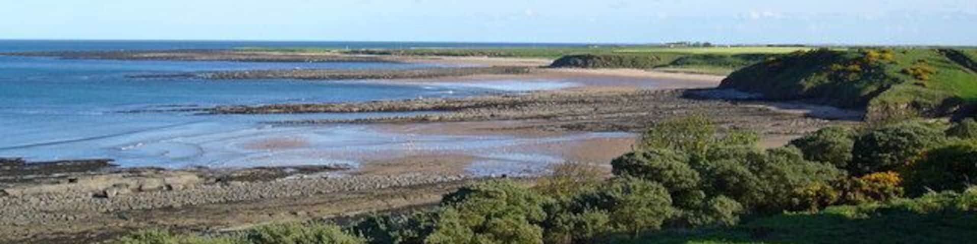 Howdiemont Sands Seahouses, View SSE from site of the ancient Settlement