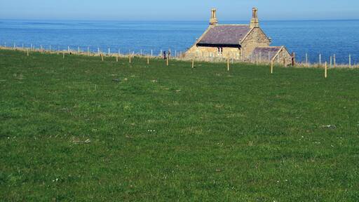 The Bathing House Wikidata has entry Q26293739 with data related to this item.