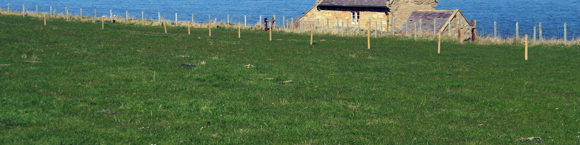 A grassy field with a stone house near the sea.