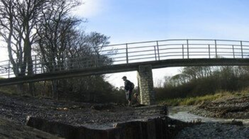Footbridge over the Howick Burn