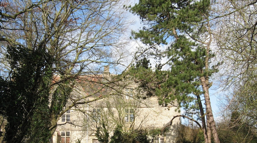 Overgrown at Pucklechurch.