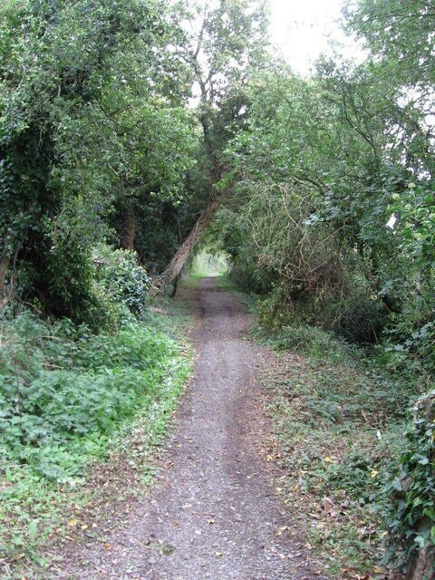 View along Back Lane.
