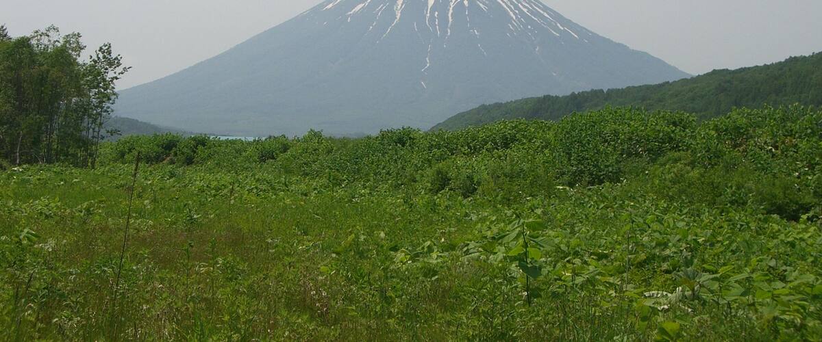A mountain with a snow-capped peak, surrounded by lush greenery.