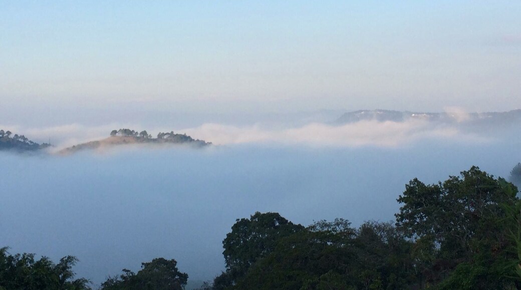 Beautiful day trip from Tegucigalpa in tandem with Valle de Angeles. Early morning brings sights such as this.