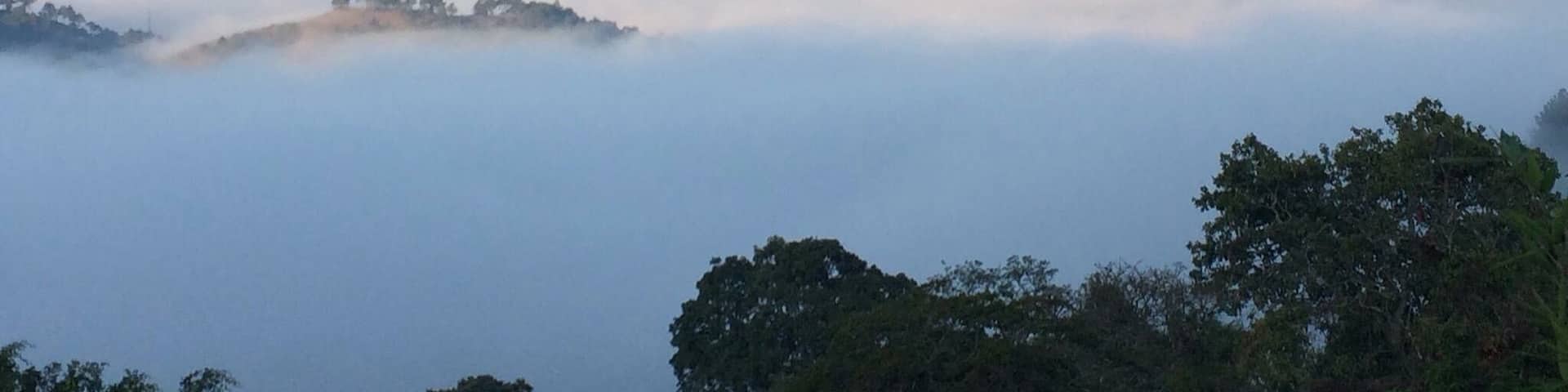 Beautiful day trip from Tegucigalpa in tandem with Valle de Angeles. Early morning brings sights such as this.