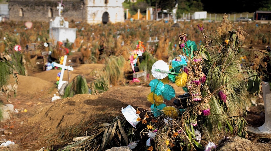 //
Made the trip to Chamula to visit an infamous temple (?)/ former church that is home to the indigenous people of the area. Their customs are familiar yet so original, it was an honour to be allowed inside their place of worship to observe.
\\
This was a very different experience which we’ll be explaining in detail on the blog. Just know it involves vast quantities of Coca-Cola , pine needles and some chickens.
//
No photography is allowed inside, which we respectfully adhered to. So my colourful play by play will have to suffice.